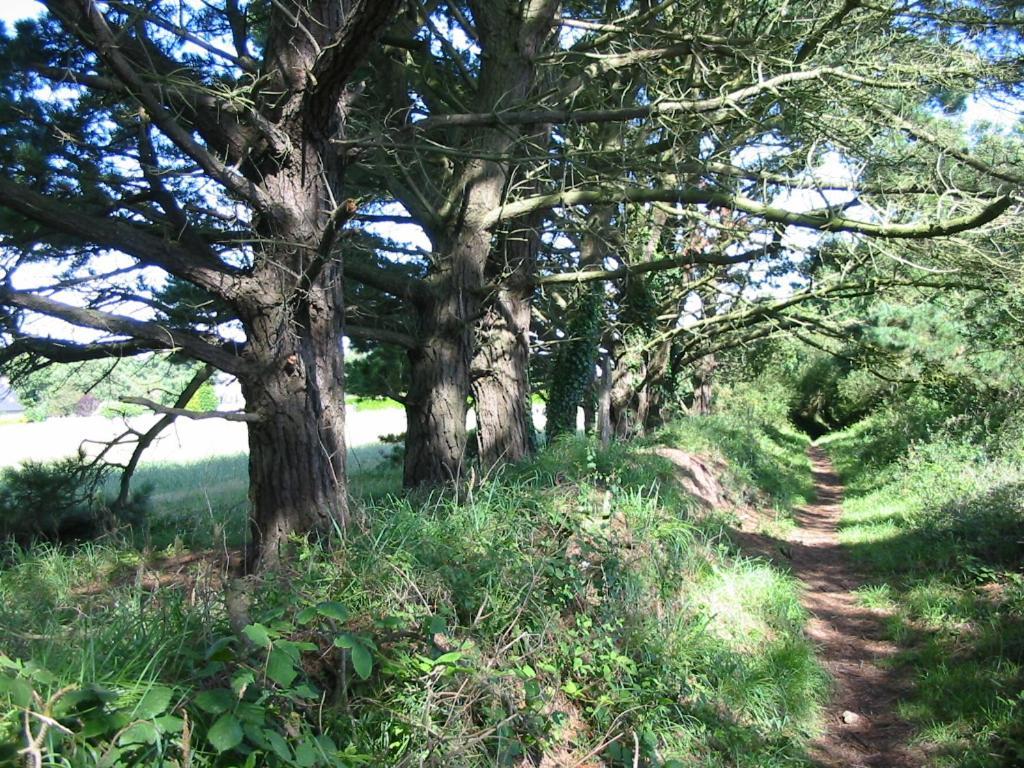 En Bretagne, villa de 2 à 8 pers , meublé de tourisme 3 étoiles nichée dans un écrin de verdure à 2500m de la plage Ploumilliau Extérieur photo